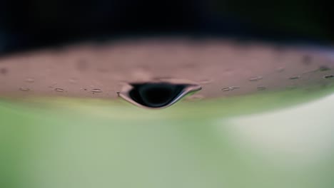 Close-up-of-slow-dripping-coffee-brewing-in-Vietnam-in-the-Buon-Ma-Thuot-region-of-Da-Lak