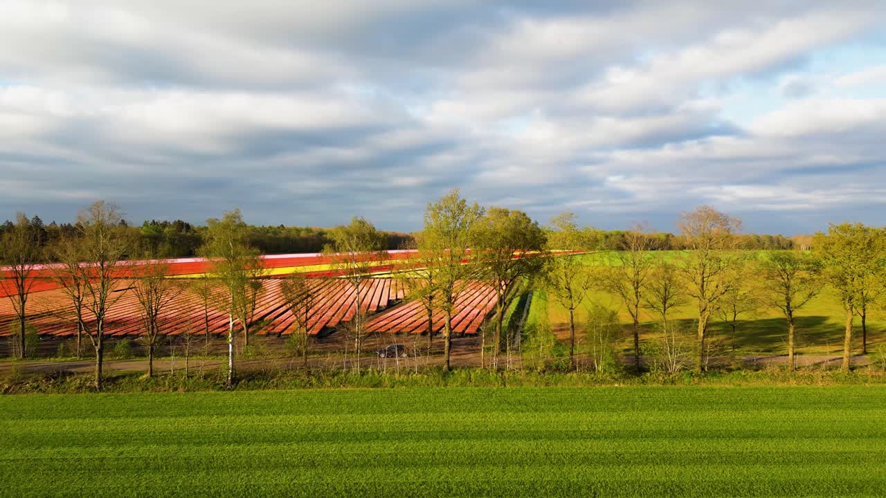 네덜란드 의 다채로운 립 들