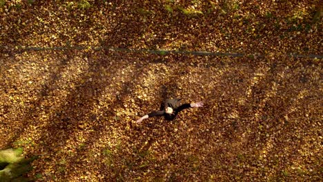 Young-girl-in-black-dress-throwing-leaves-in-the-air-in-slow-motion