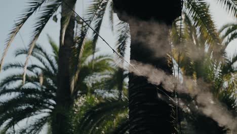 fine mist sprayed from cooling nozzle among tropical palm trees