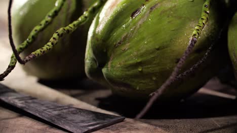 Fresh-Whole-Coconut,-Uncut,-Zoom-in,-Close-Up