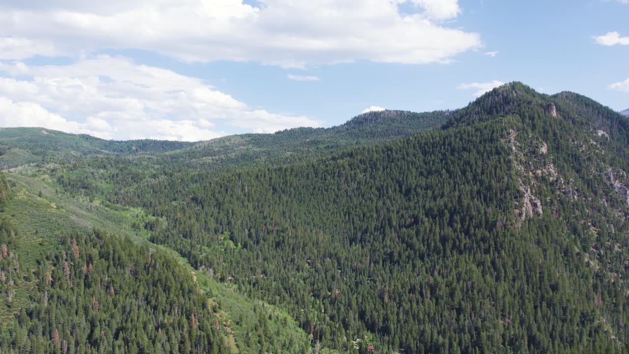 vista de gran altitud sobre el dosel de los árboles de las montañas wasatch, utah, estados unidos