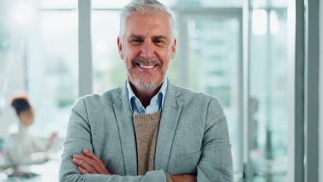 portrait of a senior businessman in office