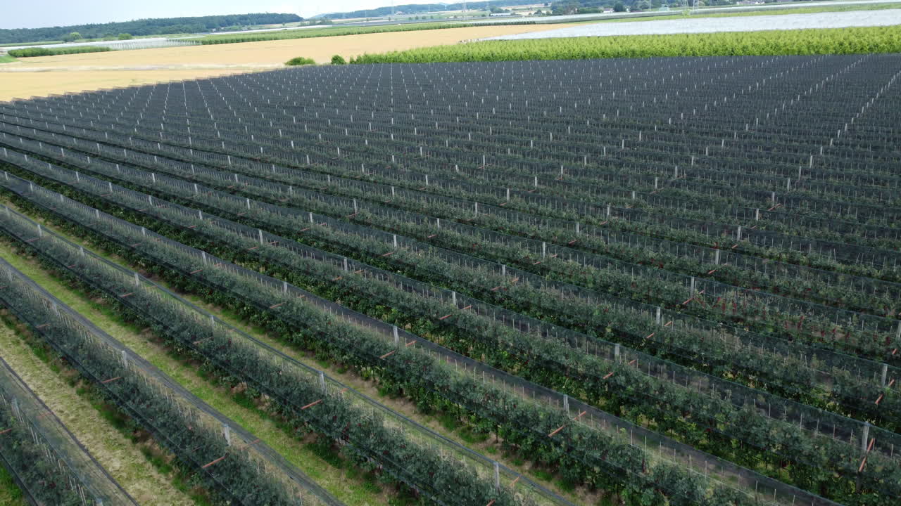 과일 농장 의 공중 사진