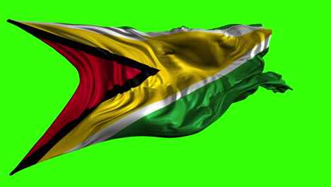 flag of guyana