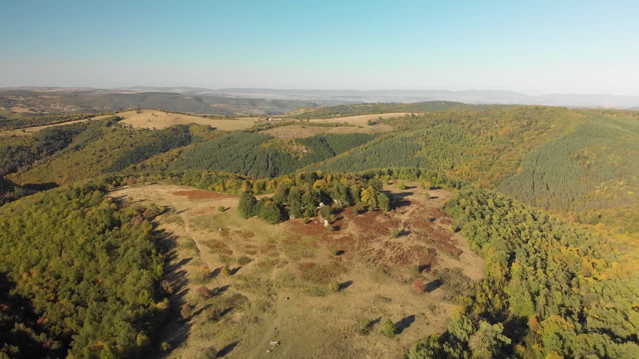 내부에 큰 돌이 있는 나무 숲의 공중 팬 샷-1