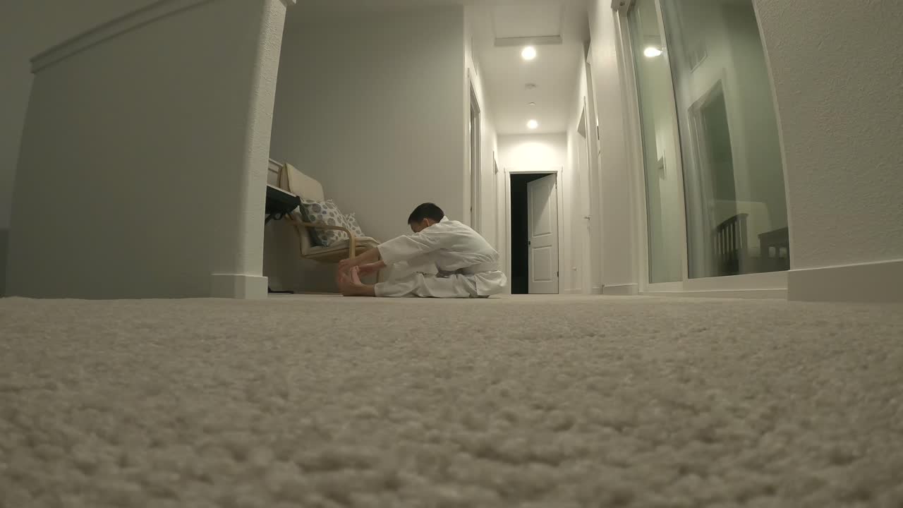 아이들을 위한 가상 가라데 수업