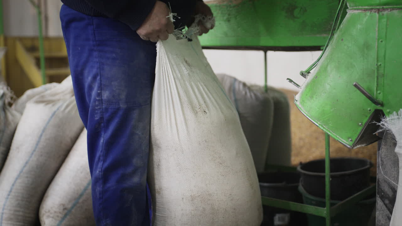 Um trabalhador remove um saco branco cheio de grão processado de uma máquina agrícola de moagem verde