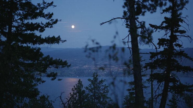 Nachtlandschaft mit Blick auf die Stadt West Kelowna und den See durch Bäume hindurch
