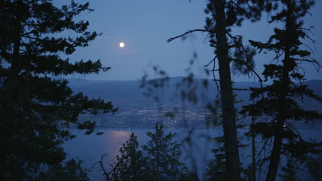 nachtlandschaft mit blick auf die stadt west kelowna und den see durch bäume