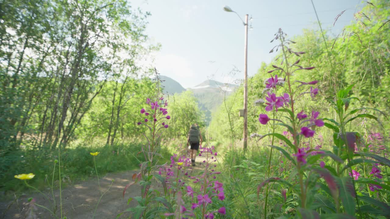 Caucasian Male Hiker With His Dog Walking In A Trail Path With Wild Flowers In Lyngsdalen Valley, Norway