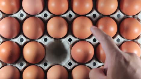 selection of egg quality and fresh from the farm.