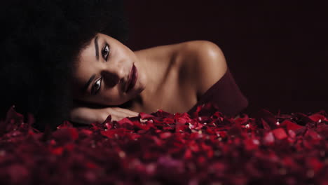 portrait beautiful african american woman with afro red rose petals blowing sensual female looking seductive dreaming of intimate fantasy romance indulging desire in valentines day concept