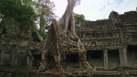 overgrown ruins of preah khan temple in angkor, siam reap, cambodia