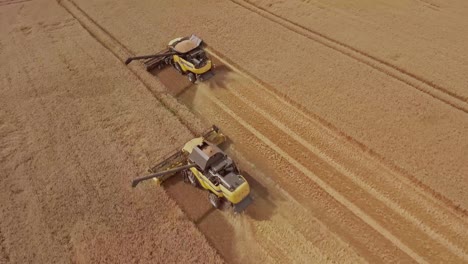 aerial top-down view of a row of combine harvesters working in unison to collect golden wheat during harvest season