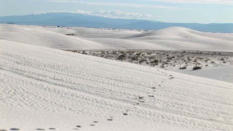 Panup-De-Pistas-En-Una-Duna-De-Arena-En-El-Monumento-Nacional-White-Sands-En-Nuevo-México