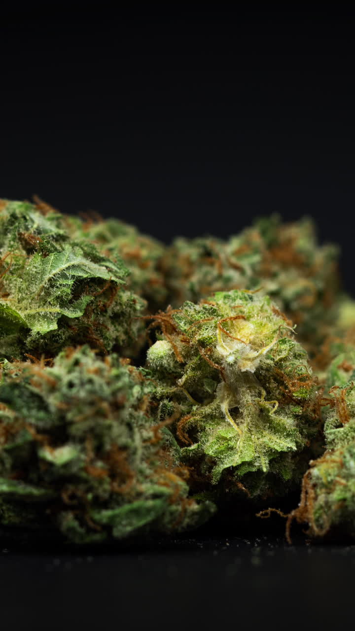 close up of cannabis buds in vertical