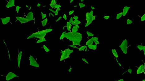 green falling leaves.
