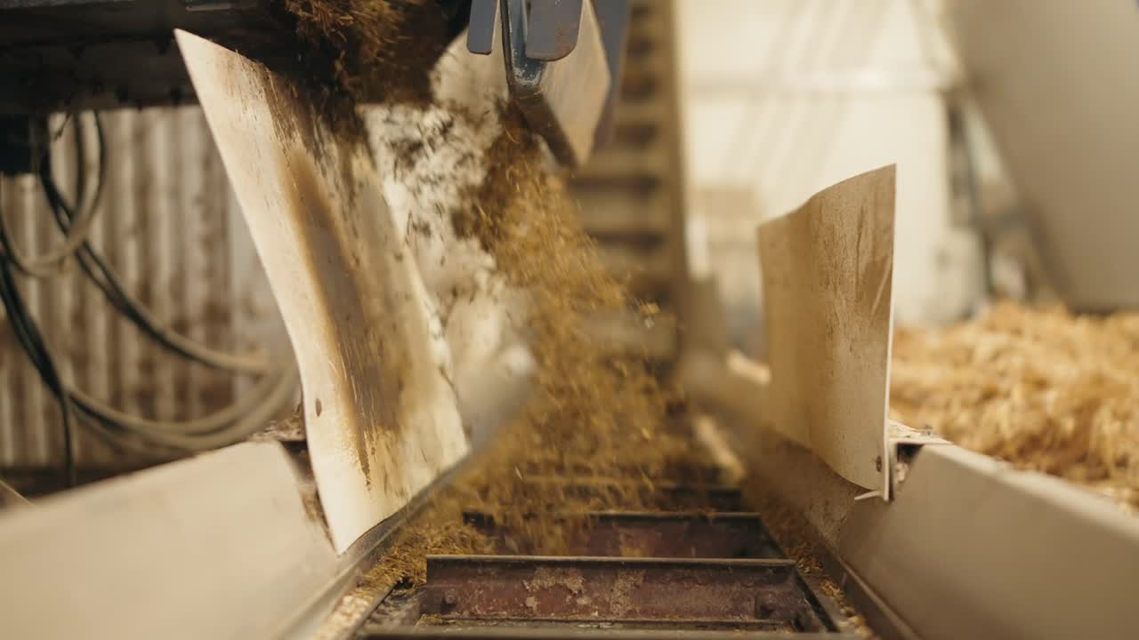 estiércol triturado que se vierte en el transportador en movimiento