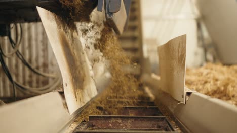 crushed manure pouring onto moving conveyor