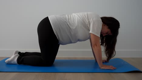 39 weeks pregnant woman doing fire hydrant workout on mat in home setting