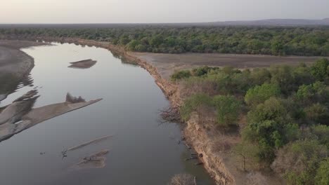 Hippos-line-steep-sandy-riverbank-in-Central-African-aerial-flyover