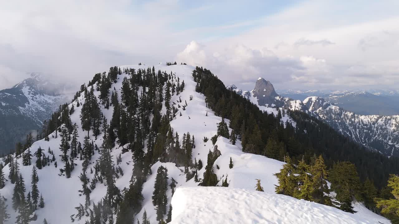 Snowy Mountain Peak with Evergreen Trees in British Columbia