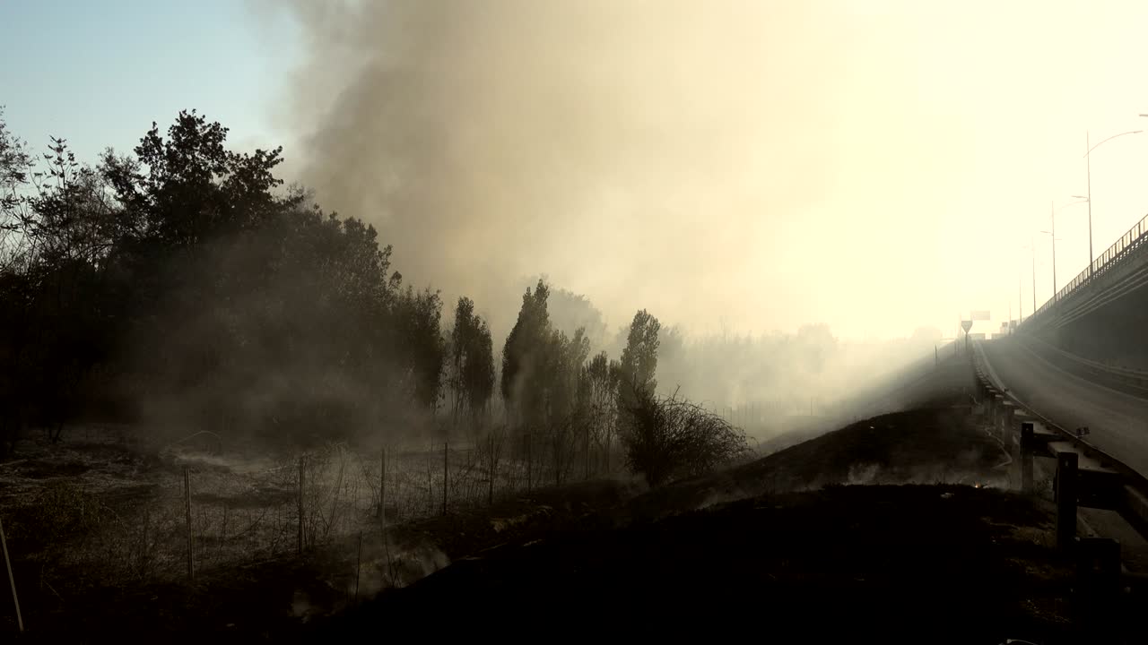 La foresta dopo l'incendio: desolazione, fumo, disastro ecologico - Roma, Italia