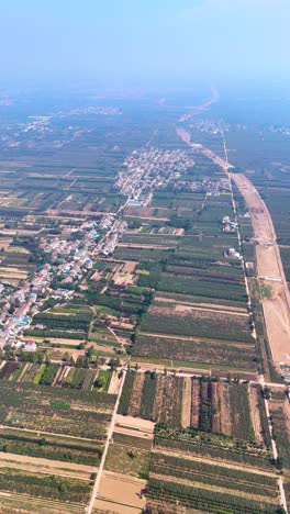 vertical aerial view of vast kiwi plantations and fields in zhouzhi county, shaanxi province, china.