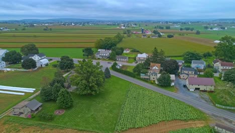 an aerial traveling view of corn fields and harvesting crops, with patches of color on a beautiful summer day