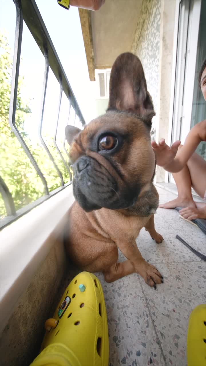 A woman with a French Bulldog