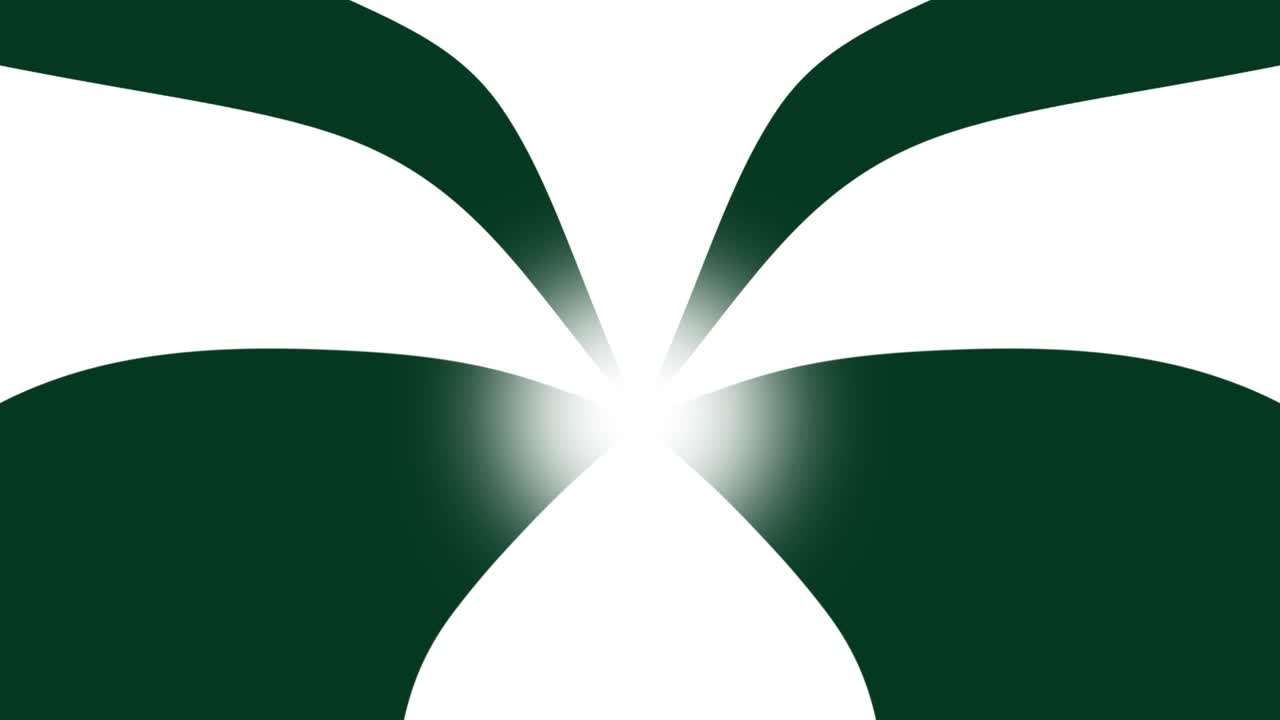 Slow moving striped wave lines warp 2D animated gradient backdrop motion graphics dynamic abstract shapes geometric patterns and visual effects twisting design overlay colours dark green and white