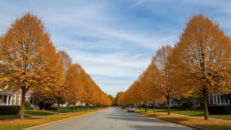 a serene autumn street view framed by majestic golden trees under a clear blue sky, showcasing the beauty of fall and urban nature harmony