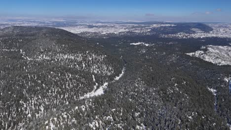 Drone-view-every-tree-branch-is-completely-covered-with-snow