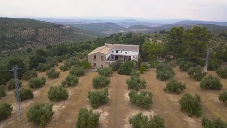 Vista-Aérea-De-Una-Casa-De-Campo-Tradicional-Española-Rodeada-De-Olivos