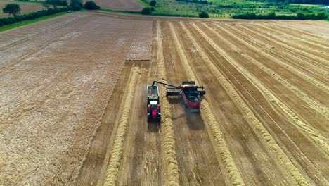 A-golden-field-of-spring-barley-being-harvested-on-a-beautiful-English-summer's-day,-the-epitome-of-rural-life-in-England