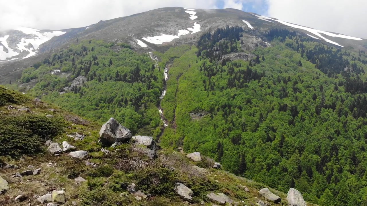 Ilmakuva lumisesta vuorenrinteestä ja rehevästä vihreästä metsästä