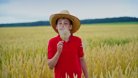 teenager in straw hat on wheat field. boy is blowing into the dandelion on beautiful nature background in farmland. slow motion.