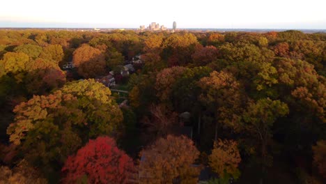 Winston-Salem-Downtown-Antenne-Mit-Fallbäumen