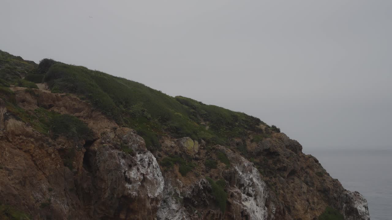 A serene view of the rugged cliffs along Malibu's coastline, with lush green vegetation contrasting against the rocky terrain, offering a peaceful and natural setting.