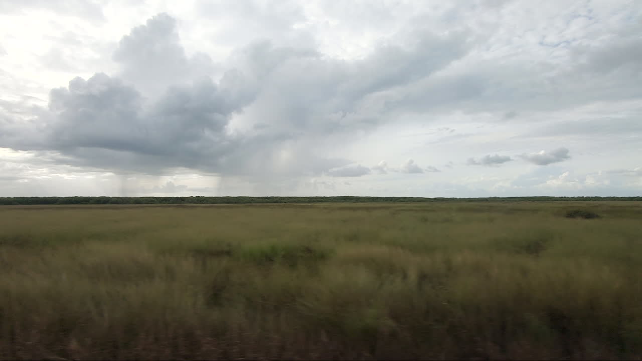 punto de vista del vehículo en movimiento a lo largo de los humedales con lluvia en el parque nacional kakadu de fondo