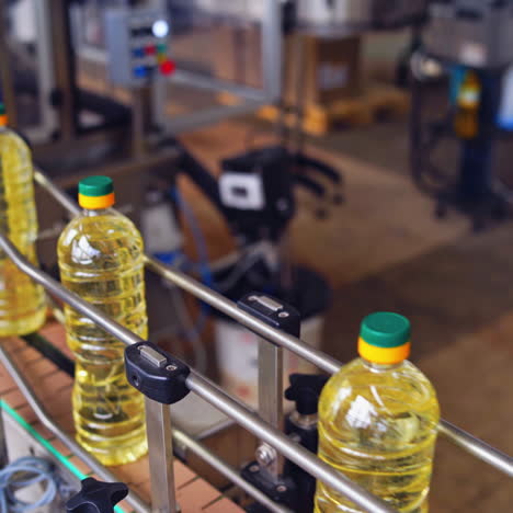 production and bottling of sunflower oil. automated factory for the production of sunflower oil. row of bottles full with refined oil moving on a conveyor.