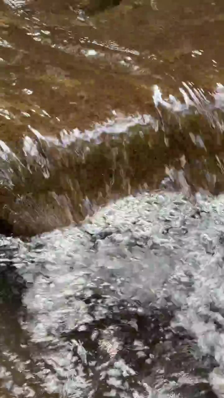 Piccola cascata che scorre su rocce muschiose in un ruscello