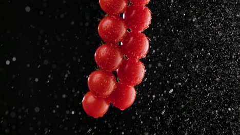 fresh cherry tomatoes with water drops