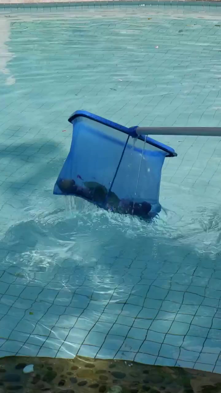 Pessoa limpando a piscina metodicamente com uma rede azul