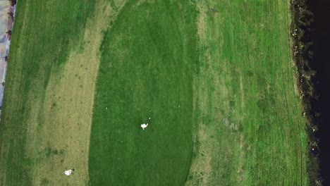 Ein-Golfer-Beim-Abschlag