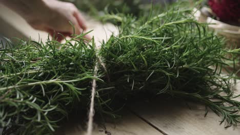 Rosemary-tied-into-a-bunch-with-twine-by-woman-1000-fps-phantom