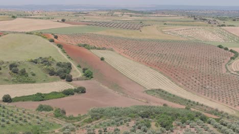 reverse 70mm drone flight reveals red soil olive groves, mowed grass in rows, hay bales, green groves, and freshly plowed fields ready for sowing in active farmland