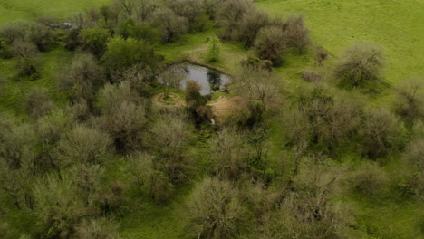 Vista-Aérea-De-Exuberantes-Tierras-De-Cultivo-Con-Un-Pequeño-Estanque-Fuera-De-Cherokee,-Arkansas