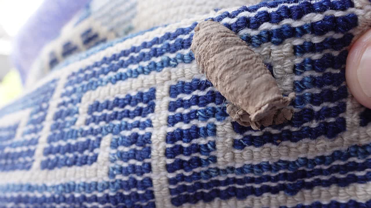 머드 도버 말벌이 다락방에 있는 내 카펫에 둥지를 짓기 시작했습니다.